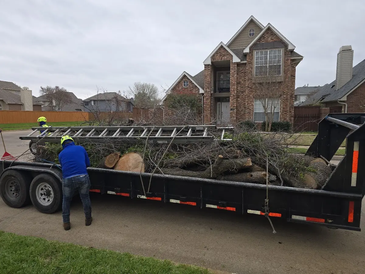 Expert Tree Pest Control with proper safety equipment in Oak